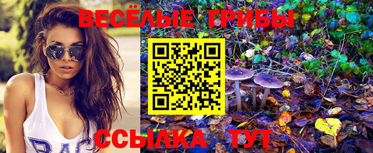 Галлюциногенные грибы Magic Shrooms  Псилоцибиновые грибы Cubensis  Вход с VPN  Полысаево 